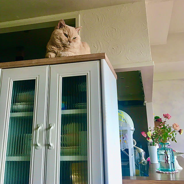 naokoさんの部屋