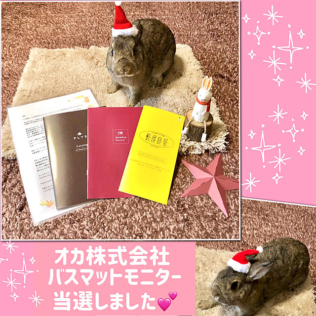 muuさんの実例写真