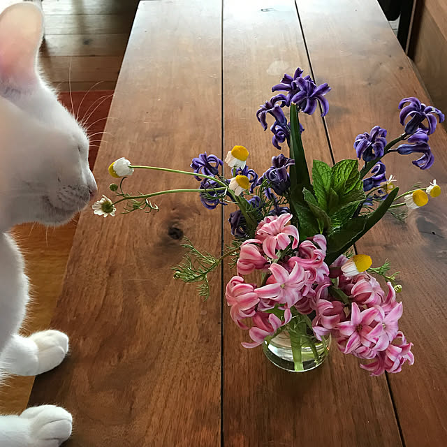 sakurasakuさんの実例写真