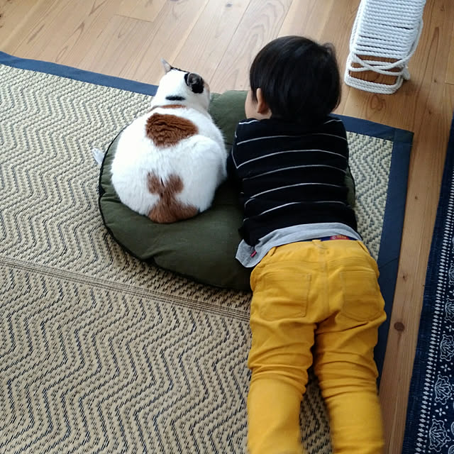 Kyokoさんの実例写真