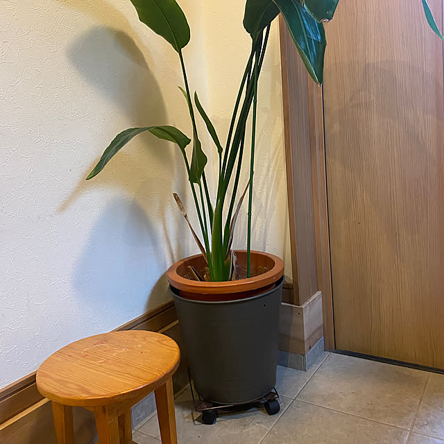 kotaroさんの実例写真