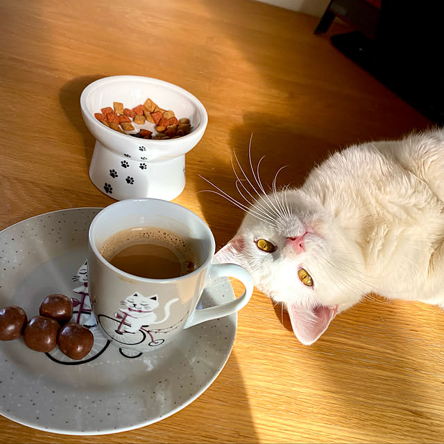 butachanさんの実例写真