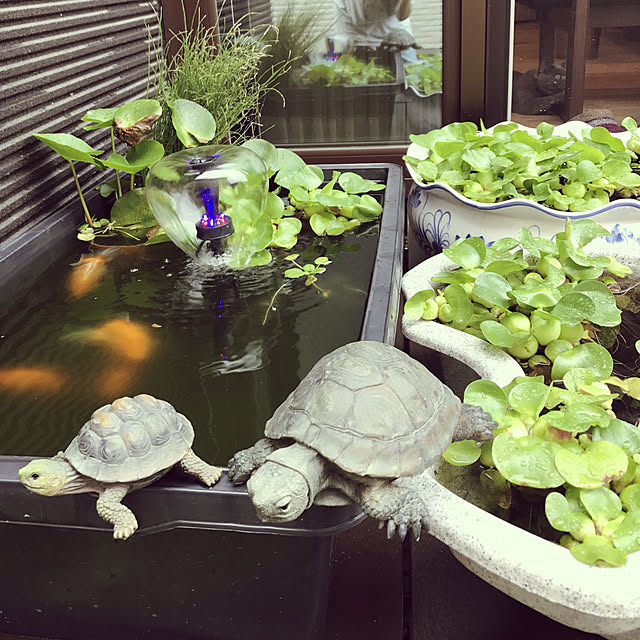 tadatomoさんの実例写真