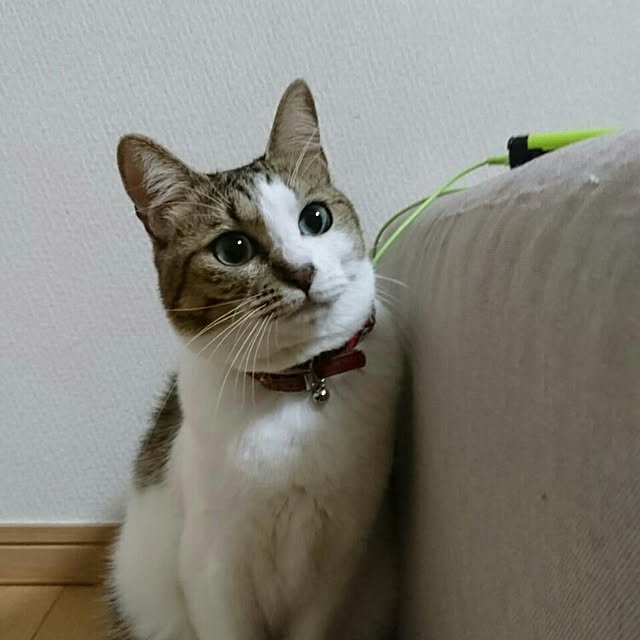 N-Factoryさんの実例写真