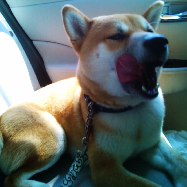 kotaさんの実例写真