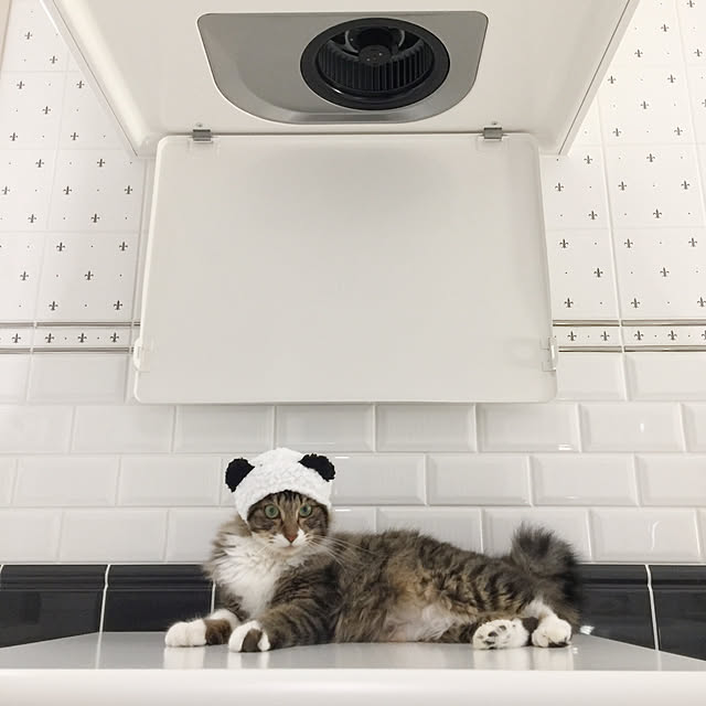 yuchiさんの実例写真