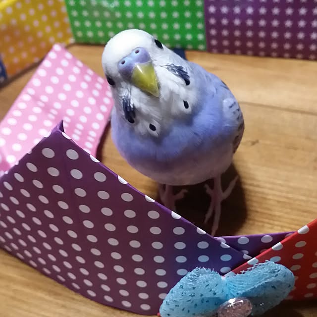 karinさんの実例写真