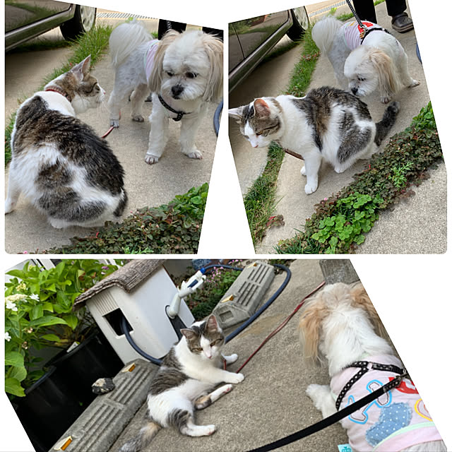 hinaさんの実例写真