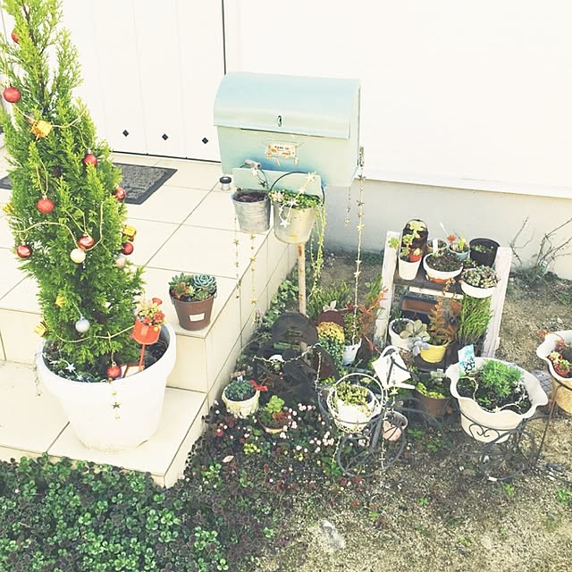 yu-iさんの実例写真