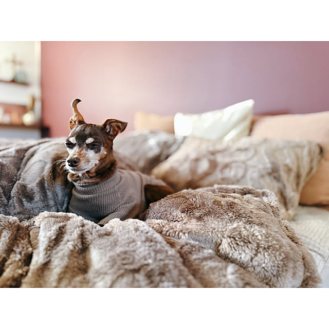 Reiyaさんの部屋