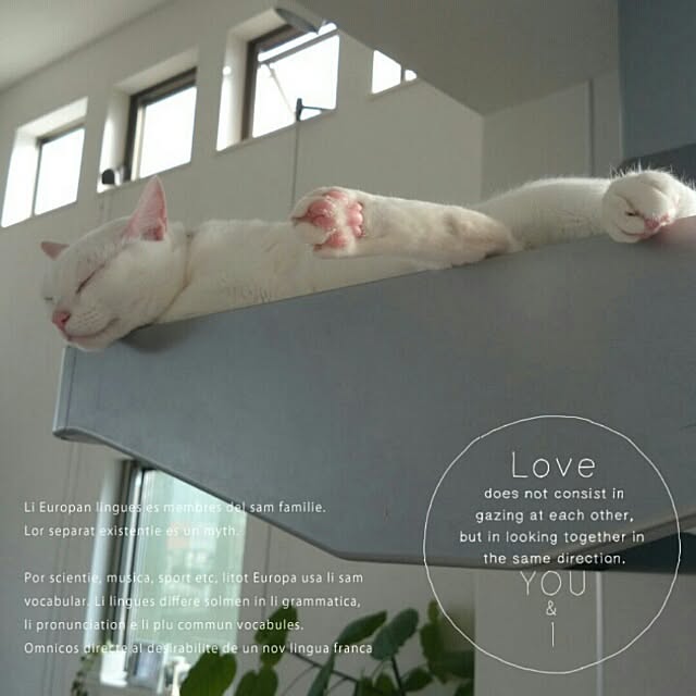 kikinanaさんの実例写真