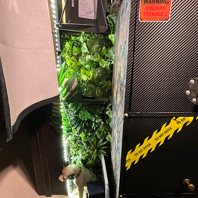 Vakiさんの実例写真