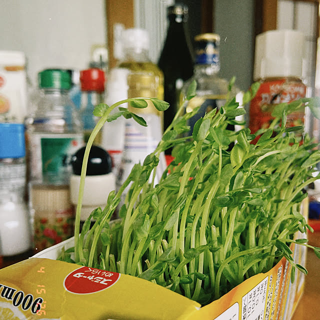 yukiさんの実例写真