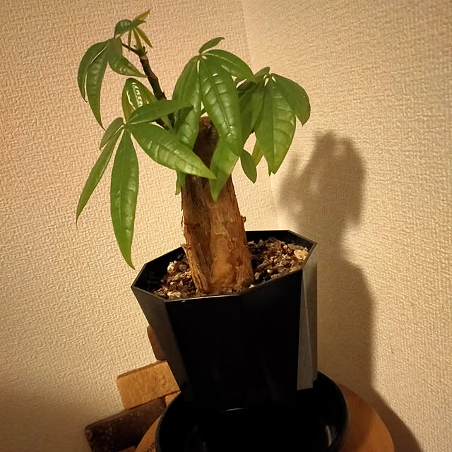 minmiさんの実例写真