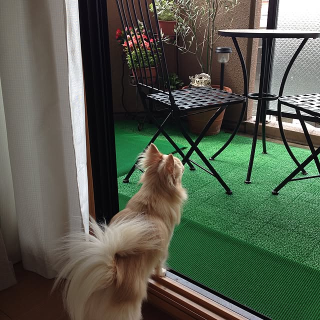 rosemaryさんの実例写真