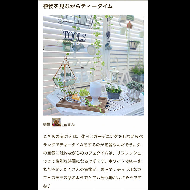rieさんの実例写真