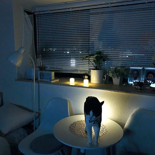 mikitty0905さんの実例写真