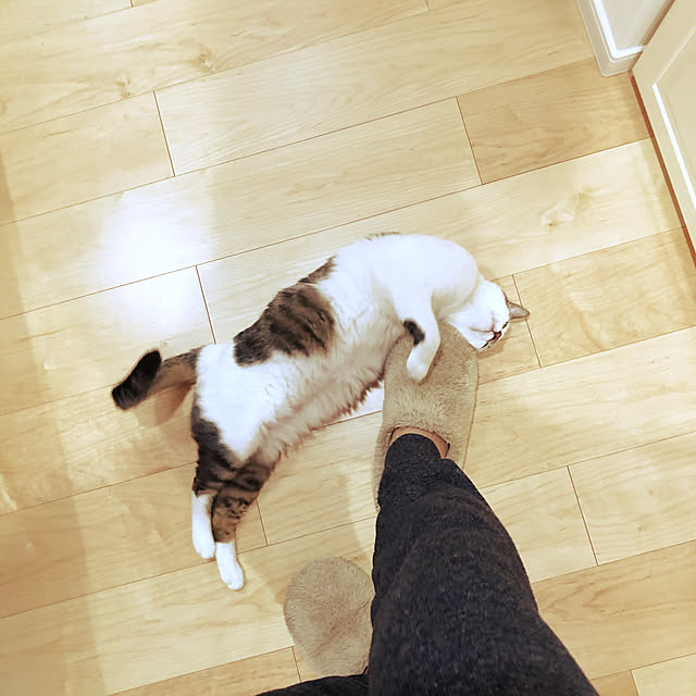 becci.comさんの実例写真