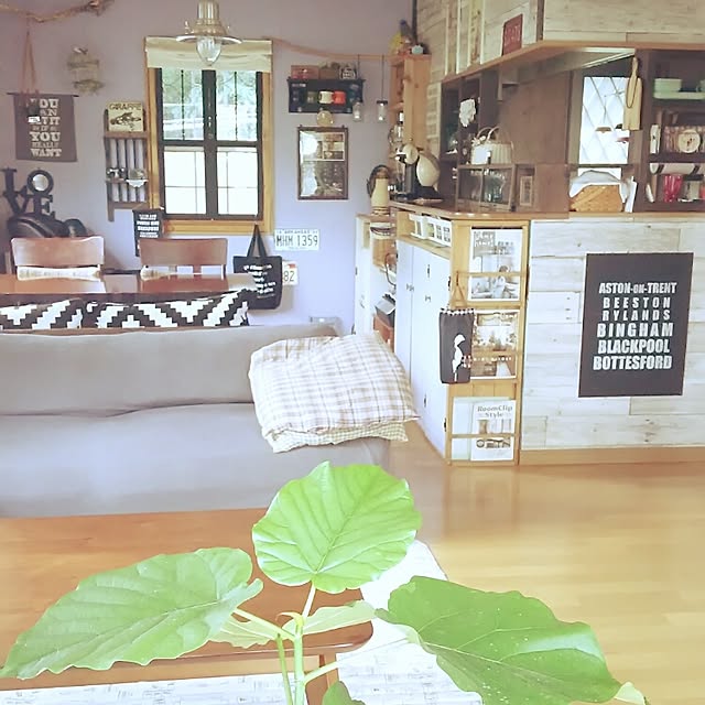 noriさんの実例写真
