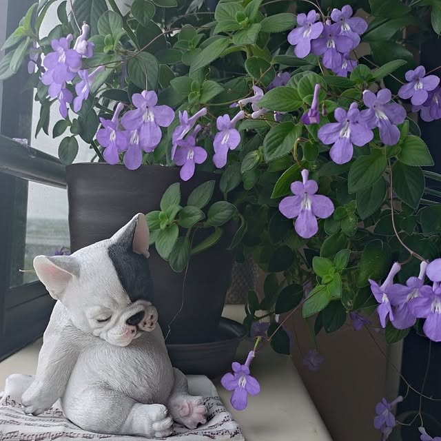 NOAHさんの実例写真