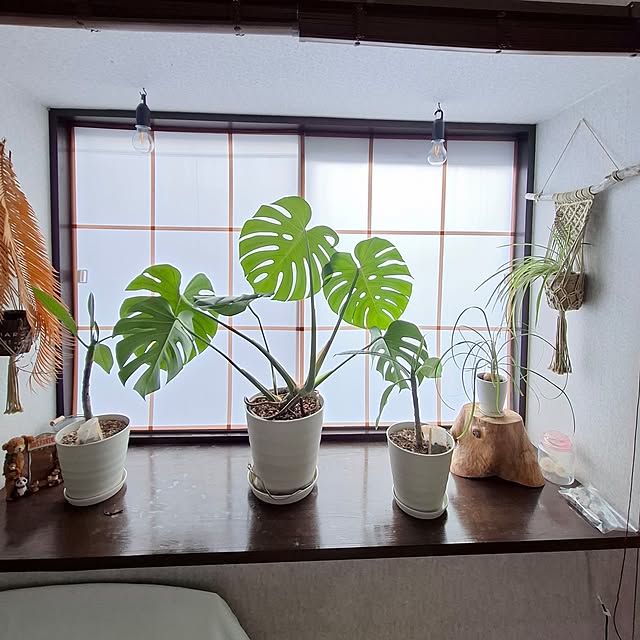 midoriさんの実例写真