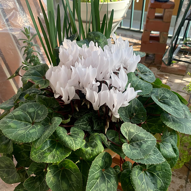 Aqettyさんの部屋