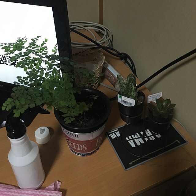 eee.aaa.mさんの実例写真