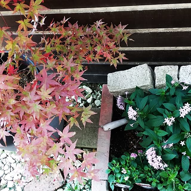 hanano087さんの実例写真