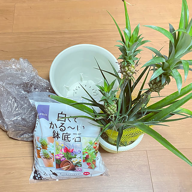 kさんの実例写真