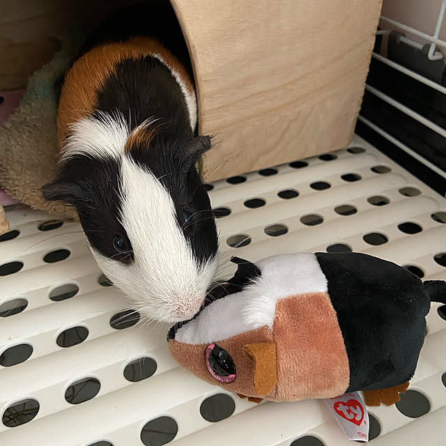 aohanaさんの実例写真