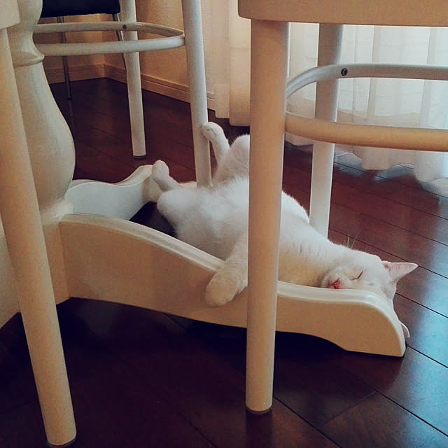 7tuさんの実例写真