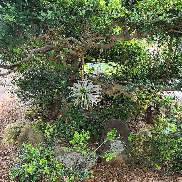 Rubiconさんの実例写真
