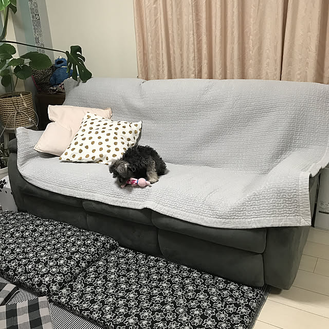 alchoさんの実例写真