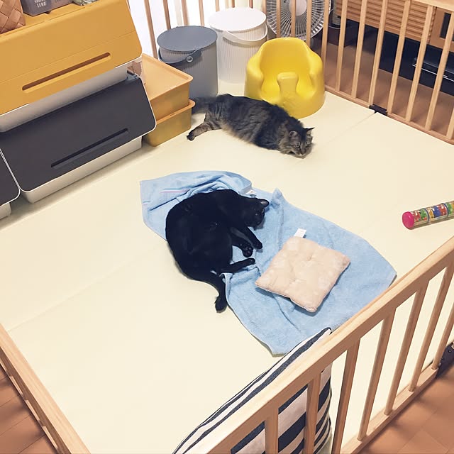 yuki0511さんの実例写真