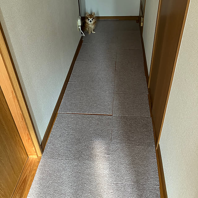 koroさんの部屋