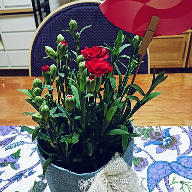 hanachanさんの部屋