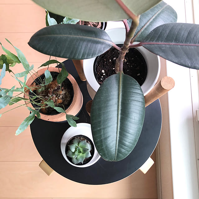 eriさんの部屋