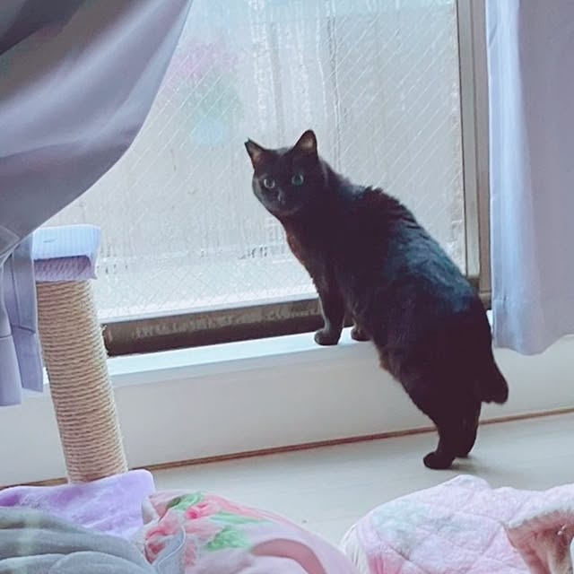 moko.7525himeさんの部屋