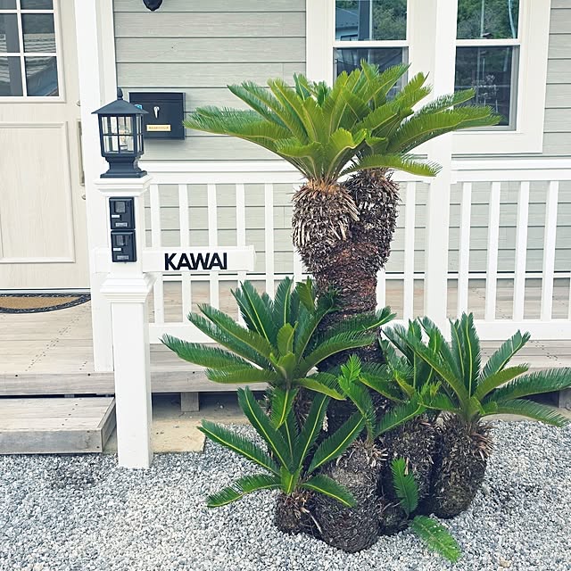 Natalieさんの部屋