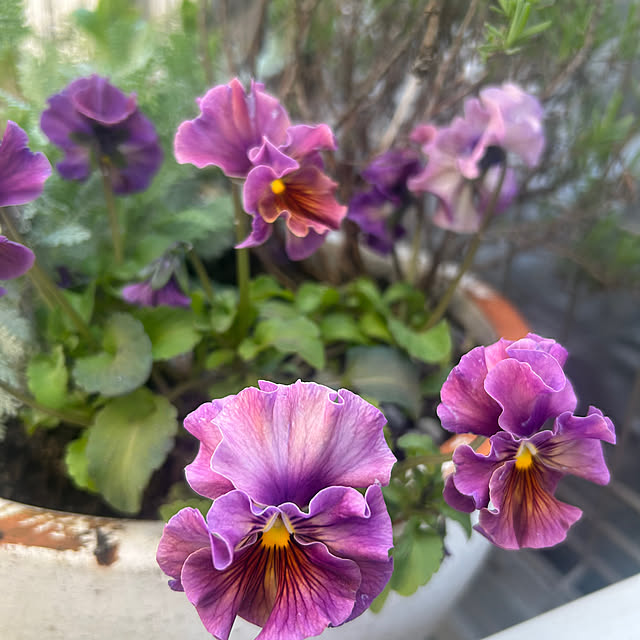 R.5.mamaさんの部屋