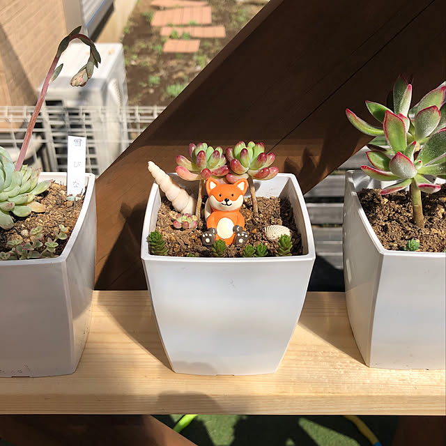 hinatiさんの実例写真