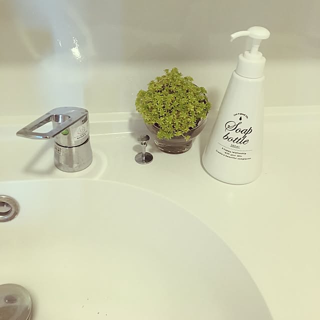 mocoさんの実例写真