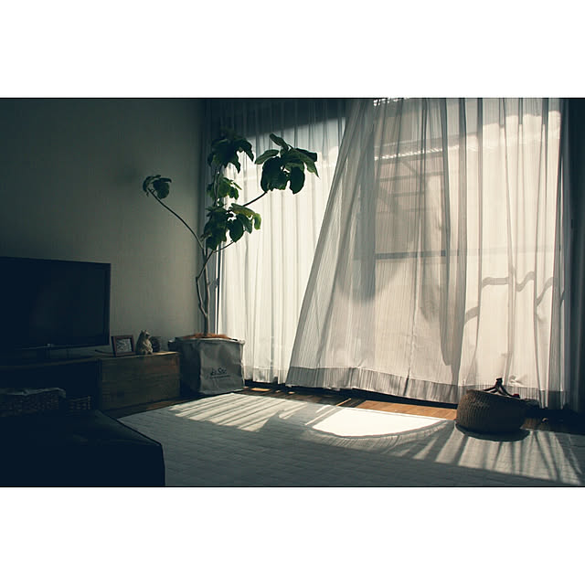 ichicoさんの実例写真