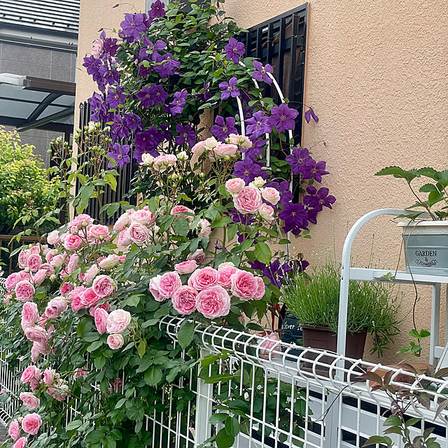 Ma-saさんの実例写真