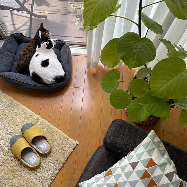 nobikoさんの部屋
