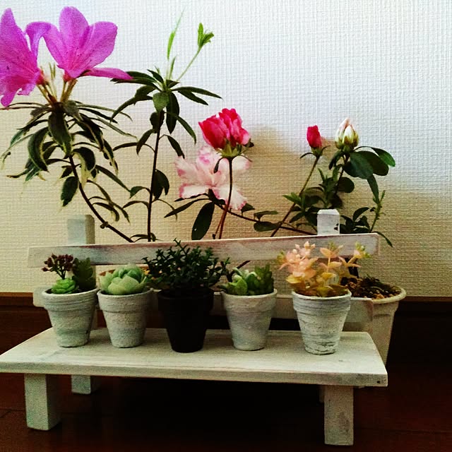 shoko0420さんの実例写真