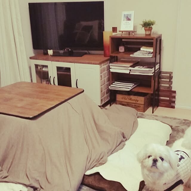 yukagomaさんの実例写真