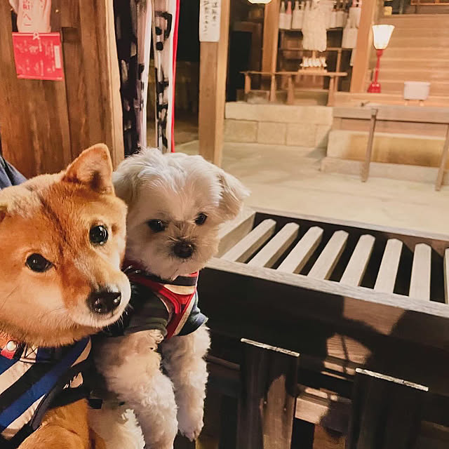 kenzさんの部屋