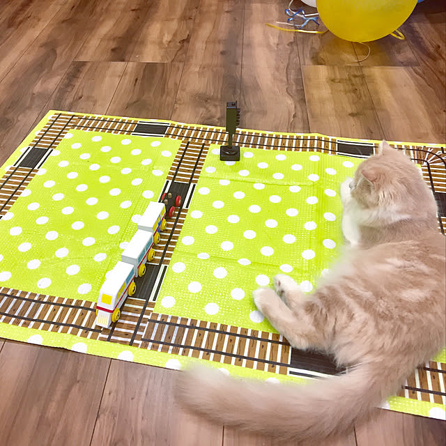 shiratamaさんの実例写真