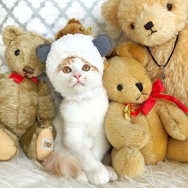 yuchiさんの実例写真